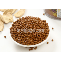تخصيص الفوائد الصحية وحبوب الزنجبيل المحمص والتوابل